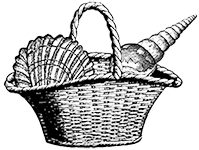 bg-icon