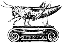 bg-icon