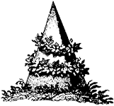bg-icon
