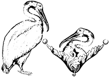 bg-icon