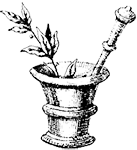 bg-icon