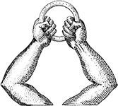 bg-icon