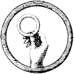 bg-icon